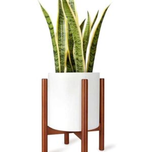 Modern Brown Wooden Plant Stand, 25x25x25 cm